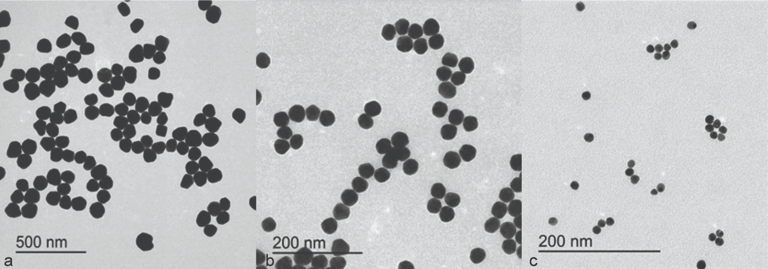 The Impact of Different-Sized Nanoparticles on Streptococcus Species