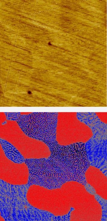 Magnetic force microscopy of a steel sample with 2 different magnetic phases. Scan size: 80 x 80 µm2.