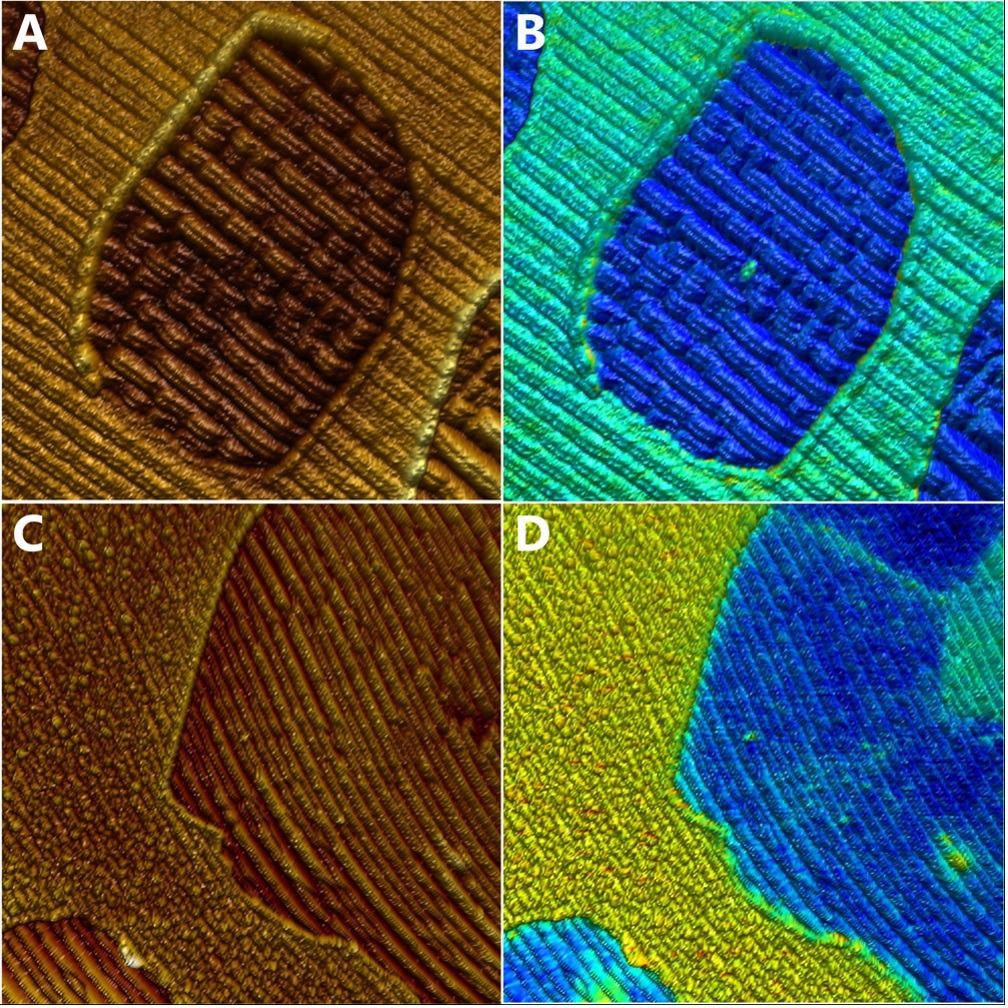 Quality control of CVD grown graphene on post-oxidized copper by lateral force imaging and KPFM. (A) Topography and (B) friction force images, simultaneously recorded. The friction was calculated from the difference between the forward and backward lateral deflection channels. Scan size: 5 x 5 µm2. (C) Topography and (D) contact potential difference images. Scan size 10 x 10 µm2.