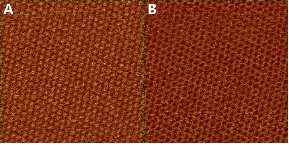 Moiré super lattice of twisted graphene on hBN imaged in PFM mode at the contact resonance frequency. (A) amplitude and (B) phase. Scan size: 154 x 154 nm2. Sample courtesy: Nanoelectronics group TIFR, India.