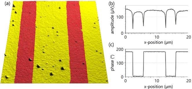Vertical PFM images of periodically poled lithium niobate. (a) Representative topography with phase information color overlaid for a 20x20 µm2 area showing, (b) horizontal profile of the amplitude and (c) phase, showing little influence of amplitude with polarity and the 180° phase shift as expected. Data courtesy: Brian Odermatt, EPFL/Nanosurf.