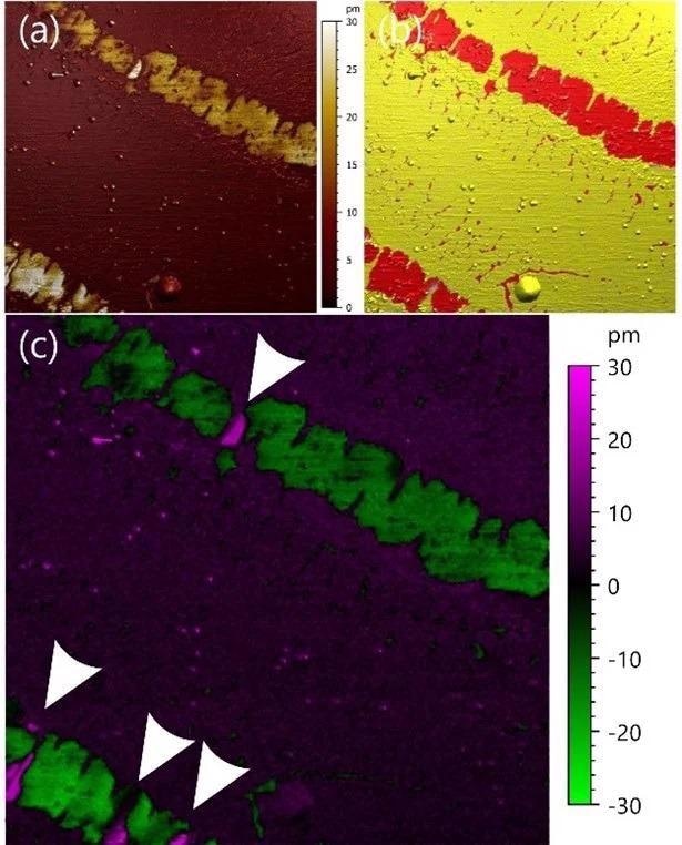 Vertical PFM imaging of 2D ferroelectric CuInP2S6 on Silicon substrate. (a) amplitude (b) phase and (c) amplitude projection, all represented as a color overlay on the topography. Image size: 5x5?µm2 (color scales do not include illumination effects from the topography visualization).
