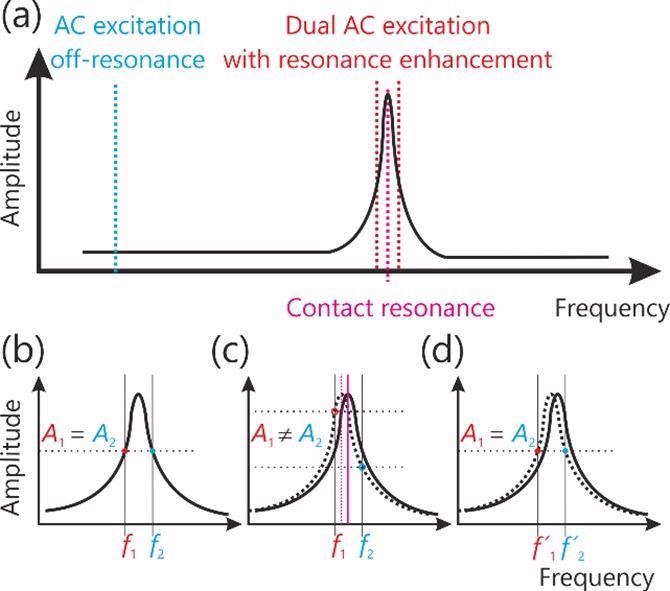 Schematics showing (a) traditional PFM measurement in off resonance mode and dual frequency resonance enhanced PFM mode. (b-d) DFRT amplitude response upon a change in contact resonance frequency.