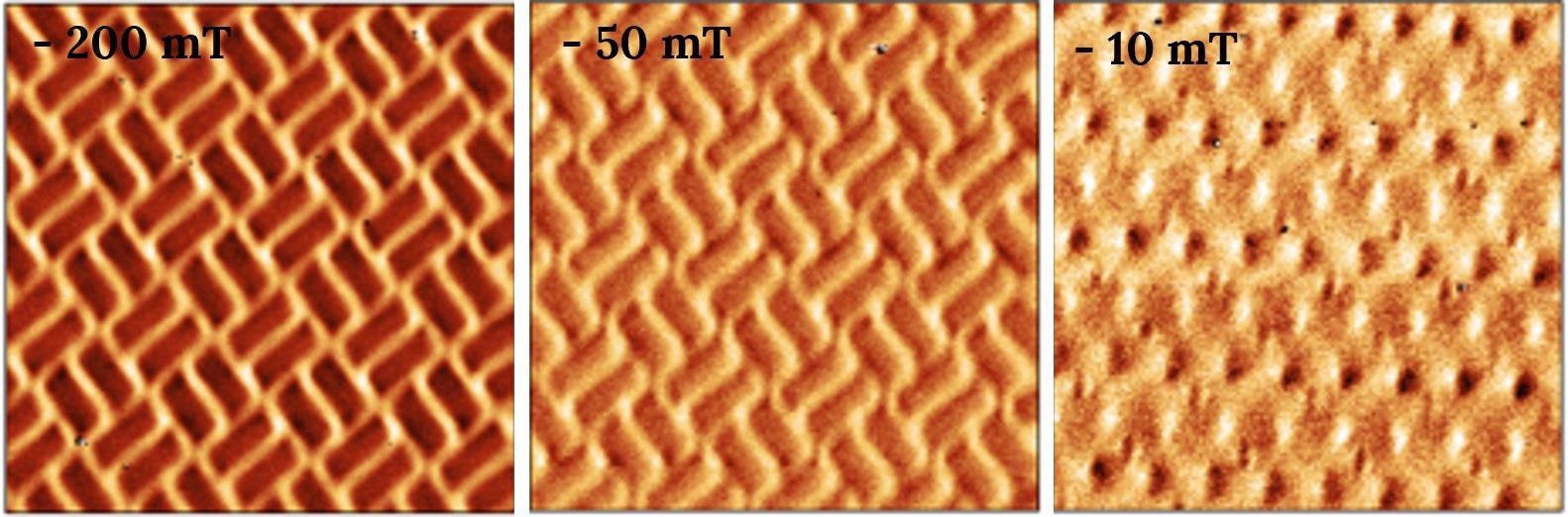 MFM images (5 x 5 µm2) of Shakti spin ice structure made at different magnetic fields imaged using the variable magnetic field sample holder using the CoreAFM.