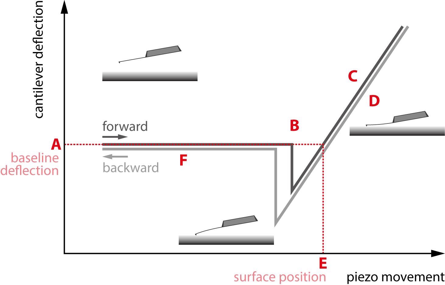 A standard force curve. The different regions of interest are marked A through F.