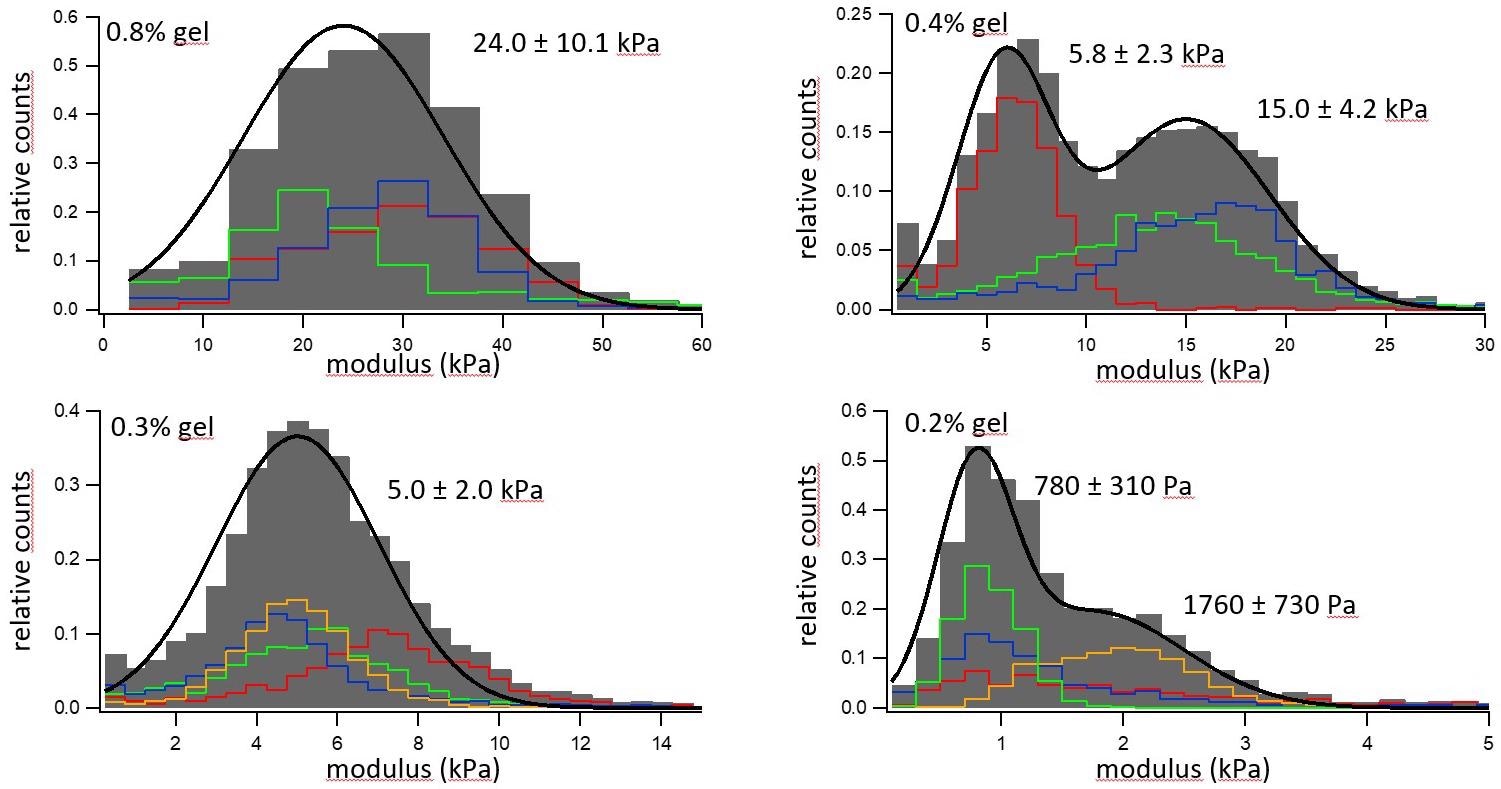 Elastic modulus distribution of four hydrogels with different concentrations of gelatine.