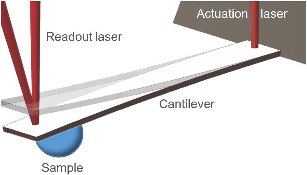 PicoBalance schematic. The mass of a sample is measured by determining the mass-induced resonance frequency shift of an actuated cantilever. Actuation and readout are done via red lasers.