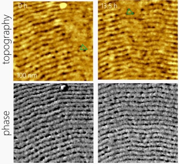 Long-term stable imaging of block co-polymer samples.