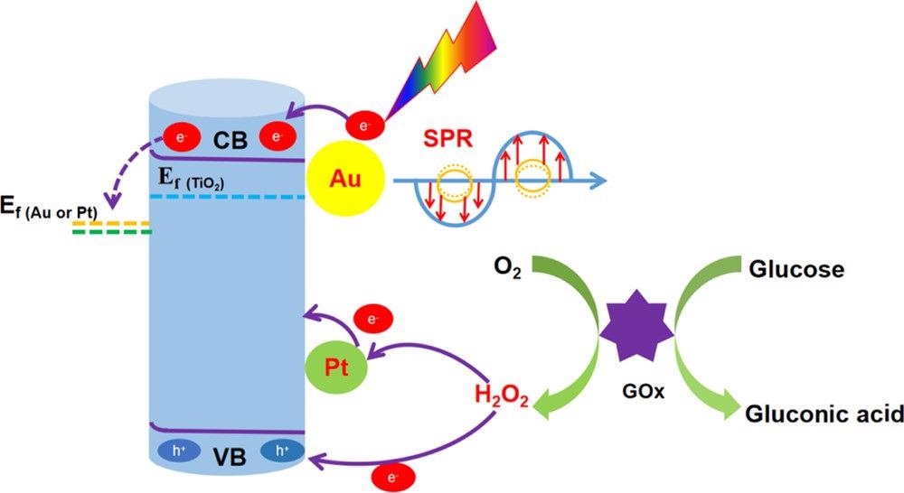 Mechanism of Action of the TiO2NTs/Au/Pt/GOx PEC Biosensor for Glucose Detection.