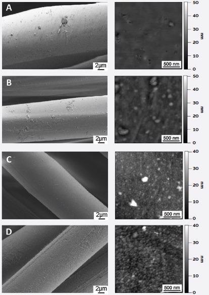 SEM micrographs (left) and AFM topography images (right) of PET fibers after four different surface treatments (A-D).