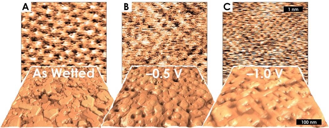 In-situ voltage-dependent atomic and sub-micron morphology of crystalline Copper during catalytic CO2 electroreduction. (A) Cu2O(111) platelets and atomic resolution in the as-wetted state at open circuit potential. (B) “Mound-pit” topography and 2x2 lattice structure at –0.5 V. (C) “Straight terrace” topography and 1x1 lattice structure at –1.0 V.