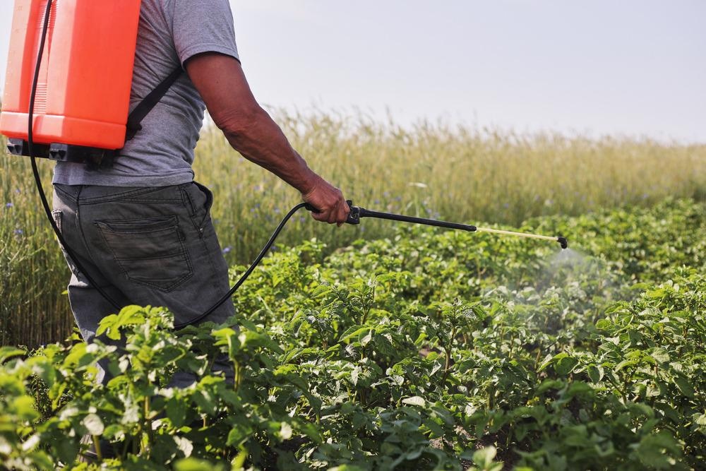 Первые пестициды. Фумиганты в сельском хозяйстве. Сельское хозяйство Кыргызстана. Земледелие Киргизия.