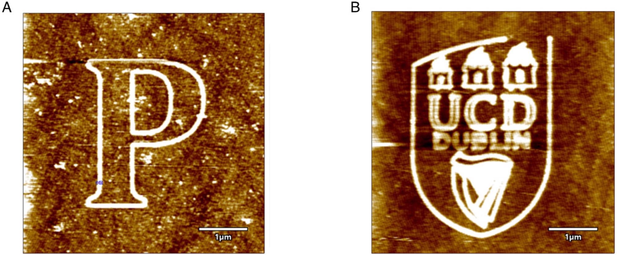 The intrinsic patterns fabricated over silicon substrate: (A) Letter ‘P’, and (B) UCD logo. FT = 0.1 µN and tip bias of 7 V, RH = 75%, VT = 1 µm/s.