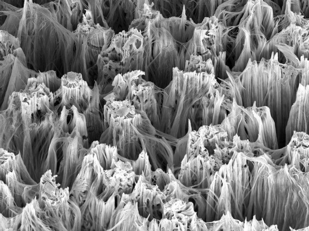 Major Synthesis Techniques of Nanowires