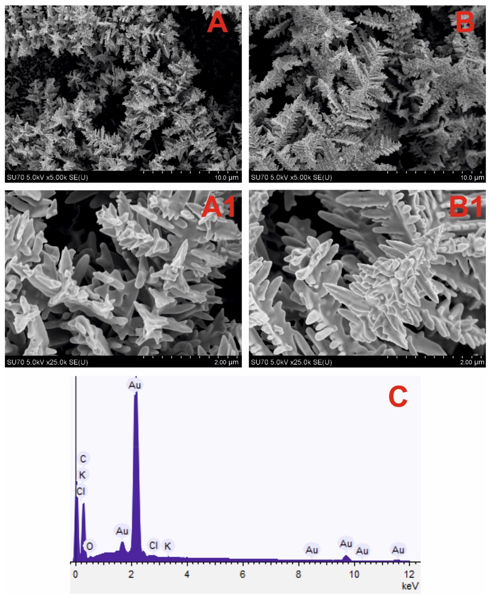 SEM images of the DGNs electrochemically deposited on a GR electrode at a constant -0.2 V potential for 200 seconds (A, A1) and 400 seconds (B, B1) from a 10 mM solution of HAuCl4 containing 0.1 M KNO3 (pictures (A1, B1) are magnified images of (A, B)) and EDS spectrum (C) of dendritic gold nanostructures presented in (A) SEM image.