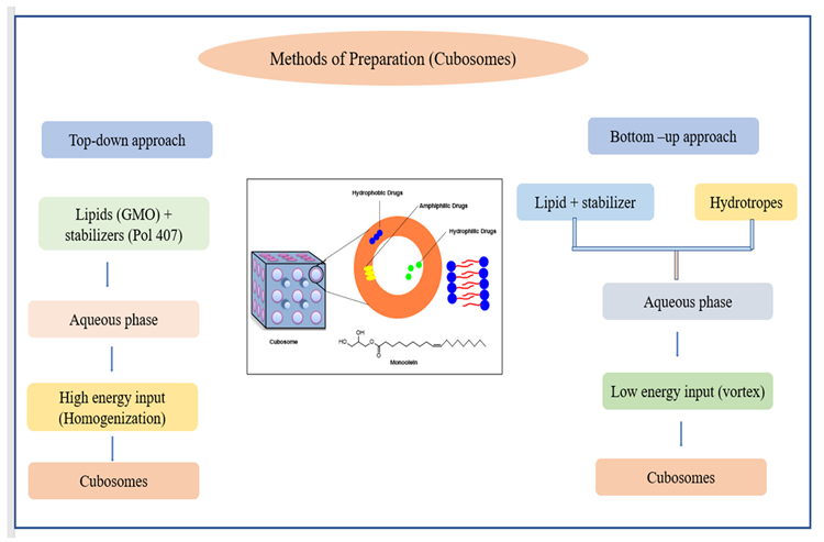 Schematic diagram of (a) the methods of preparations of niosomes and (b) the joint process stages in these methods.
