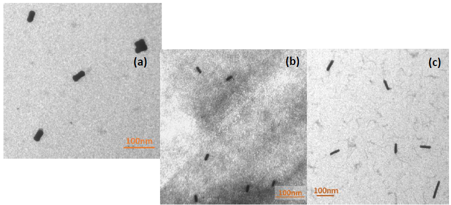Electron micrographs of samples Au-NR1(a), Au-NR2(b) and Au-NR3(c).