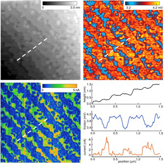 Imaging compositional contrast with LFM. The sample was an epitaxial film of LMSO (La0.7Sr0.3MnO3, ~18 nm thick) on an atomically flat, TiO2-terminated STO (SrTiO3) substrate. Images show topography (upper left), LFM friction (upper right), and current (lower left) obtained with conductive AFM, with sections corresponding to the dashed lines. Terraces with irregular edges and alternating high and low current are observed, suggesting alternating La1-xSrx O- and MnO2- terminated surfaces. This is confirmed by the LFM image, where low and high friction indicates differences in chemical termination from one terrace to the next. Scan size 3 µm; acquired on the MFP-3D AFM.