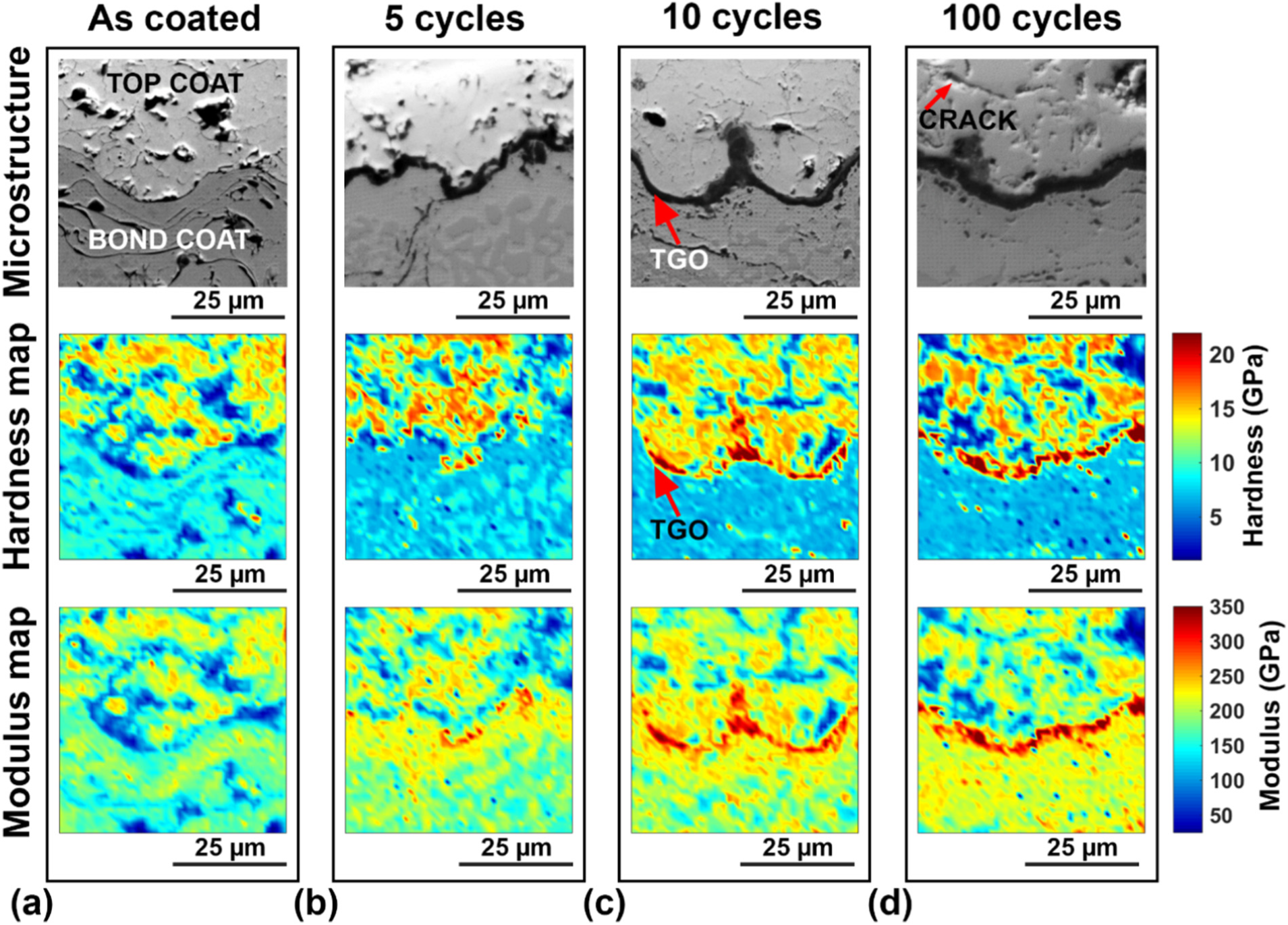 Cross-sectional SEM micrographs and the corresponding hardness and elastic modulus maps at the bond coat-top coat interface show TGO growth for (a, first column) the as-coated state; (b, second column) after 5 thermal cycles; (c, third column) after 10 thermal cycles; and (d, fourth column) after 100 thermal cycles.