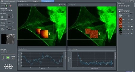 JPK NanoWizard® V BioAFM control software showing mechanical measurements on fluorescently labelled living cells.