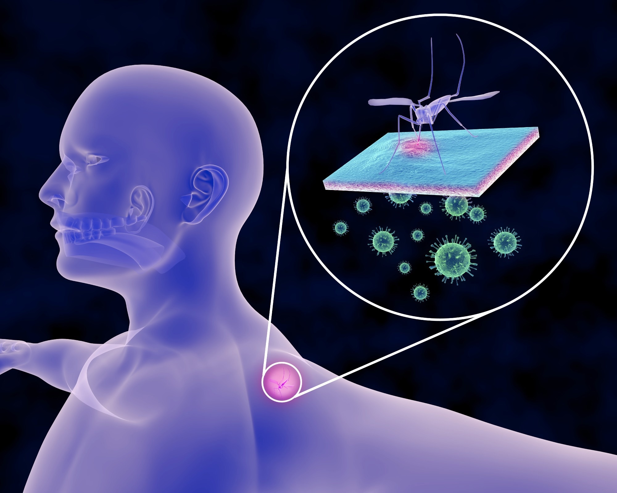 Carbon-Based Nanoparticles to Help Eradicate the Yellow Fever Mosquito.