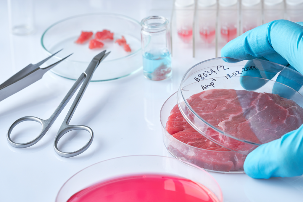 Artificial meat, lab grown meat, in vitro meat.