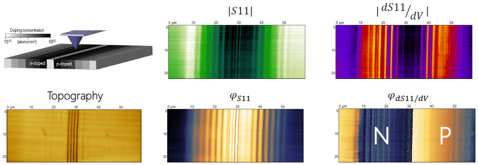 An S11 measurement (amplitude and phase) and a dS11/dV measurement (amplitude and phase) of an Infineon SCM calibration sample. Clear contrast between the regions of different dopant density can be observed in both the S11 and the dS11/dV measurements. The dS11/dV measurement indicates polarity and the type of the dopant – n or p – can be determined. The schematic image of the sample is taken from Ref. 2.