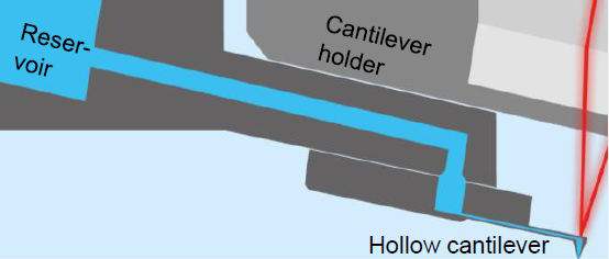 Schematic of FluidFM. A hollow FluidFM cantilever is connected to a pressurized fluid reservoir.