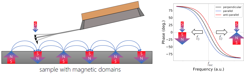 A schematic representation of MFM. If the local magnetic moments are parallel, i.e. magnetic field in the sample is aligned in the direction of the tip magnetization, there is an attractive force causing a negative phase shift (blue curve), in the anti-parallel orientation (red curve), the repulsive force causes positive phase shift from the excitation frequency fexc. There is no shift in case when the magnetic fields of tip and sample are perpendicular to each other.