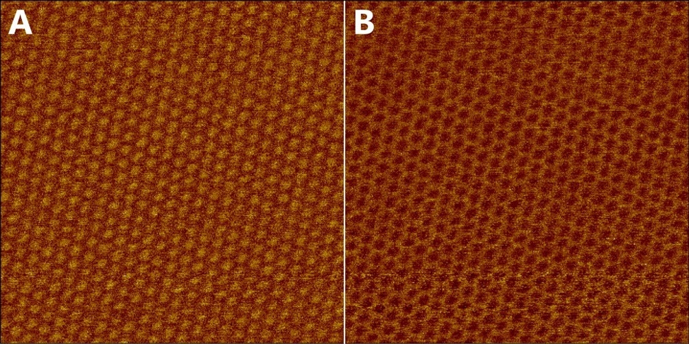 Moiré super lattice of twisted graphene on hBN imaged in PFM mode at the contact resonance frequency. (A) amplitude and (B) phase. Scan size: 154 x 154 nm2 .