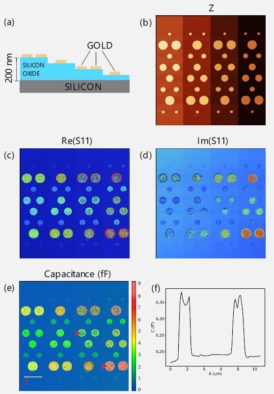 Example of calibration of S11 measurement of the MC2 Technology capacitance calibration sample. (a) Sample schematics showing 4 terraces, each 50 nm high, with patterned golden dots on top. (b) Topography of the sample, measured in contact mode. (c,d) Images of real and imaginary parts of S11 parameter. (e) Capacitance image, recalculated from the S11 parameter. Capacitors indicated with numbers 1, 2 and 3 were selected as calibration standards. Their respective capacitances were theoretically estimated as 0.3, 3.6 and 12.4 fF. These values vere used to calculate the capacitance map. (f) Cross section along the white line in (e), showing the contrast of a scan over two smallest capacitors. The smallest capacitance change in the image – the step between the terraces is 0.04 fF. Scan size: 52 x 52 µm2 . (b) Range: 0.43 µm.