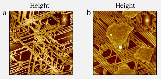 Height images of F12H20 self-assemblies on MoS2. Fourier transform patterns, which are shown in the inserts in (a) and (b) point out the trigonal symmetry of the self- assemblies’ arrangements. (a) Image size: 5 x 5 µm2, height range: 2.6 nm. (b) Image size: 2 x 2 µm2, height range: 3.5 nm, phase range 2°.