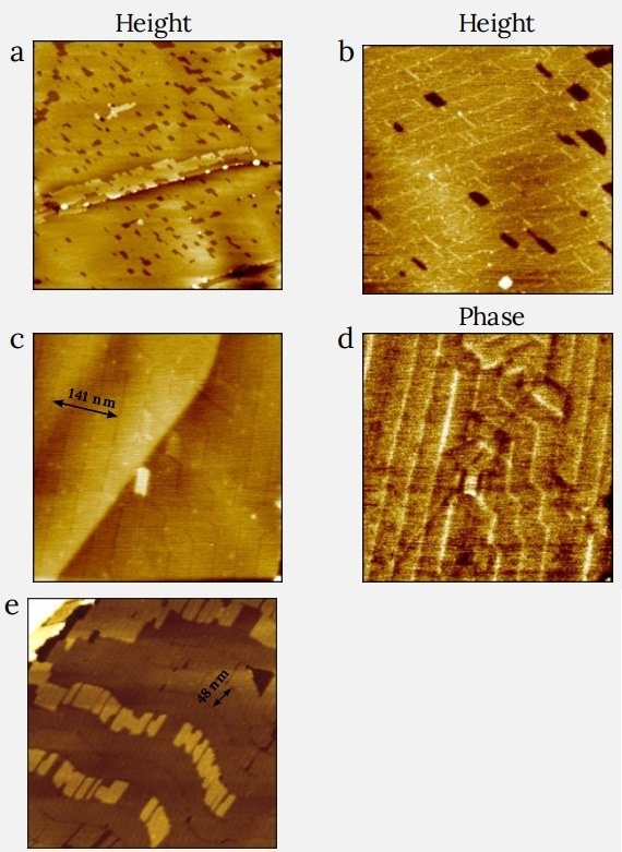 Height (a,b,c,e) and phase (d) images of C390H782 adsorbate on HOPG. The images in (a)-(d) were recorded in dynamic mode in low-force (a-b) and high-force (c-d) operations. The image in (e) was obtained in WaveMode. The inserts in (c) and (e) indicate the width of three and one lamellae, respectively. (a) Image size: 2 x 2 µm2 , height range: 2 nm. (b) Image size: 0.6 x 0.6 µm2 , height range: 0.7 nm. (c,d) Image size: 0.5 x 0.5 µm2 , height range: 0.7 nm, phase range: phase range 5°. (e) Image size: 0.5 x 0.5 µm2 , height range: 4.5 nm.???????