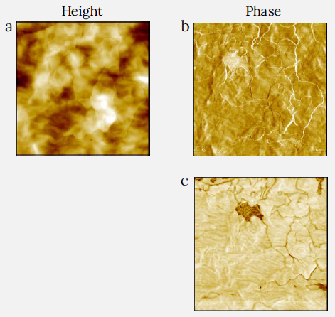Height (a) and phase (b) and (c) images of LDPE packaging film measured with CleanDrive. The phase images were recorded at low and raised tip-sample forces by varying the setpoint amplitude of cantilever oscillation. Lower setpoint corresponds to higher force. A higher force image (c) demonstrates a missing platelet in the film coating – area with darker contrast. Usual LDPE fibrils are visible in this patch. Image size: 2 x 2 µm2, height range: 50 nm, phase range 17° for (b) and 112° for (c).
