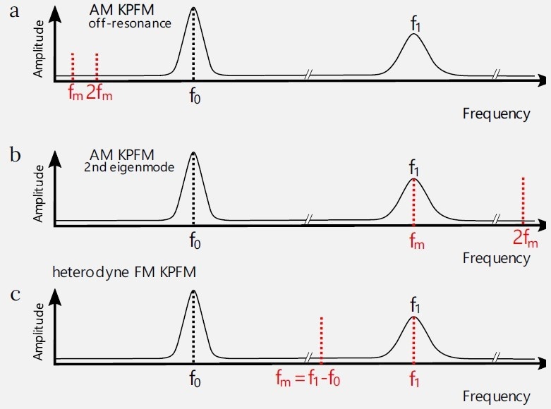 Different KPFM implementations in a frequency domain. Black curves show mechanical motion of the cantilever, and black dotted lines show its mechanical excitation. Red dotted lines show electrical excitation and detection. (a) Off resonance AM KPFM. The electrical excitation fm is done below the mechanical resonance of the cantilever f0. Both excitation and detection are done on the same frequency. (b) AM KPFM at 2nd eigenmode. The electrical excitation fe is done above the mechanical resonance of the cantilever f0 and at it’s 2nd mechanical eigenmode f1. Both excitation and detection are done on the same frequency. The advantage of this mode is the amplification of the electrostatic signal by a mechanical oscillator. (c) Heterodyne FM KPFM. The excitation frequency fm = (f1 - f0) is chosen such, that the mixed product would fall directly on f1. Because of higher excitation frequency, the heterodyne FM KPFM has much higher bandwidth than the AM KPFM. The second harmonics of the excitation and the mixed product carry information about the ?C/?z and ?2C/?2z.7.