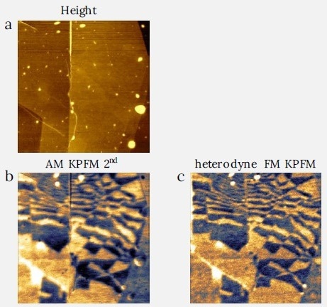 KPFM measurements of charge-polarized superlattices in twisted hexagonal boron nitride made with AM and FM KPFM. The FM KPFM is showing sharper image with finer details than the AM KPFM. Image size: 5.8 x 5.8 µm2, (a) height range: 6.8 nm, (b) CPD range: 260 mV, (c) CPD range: 340 mV.