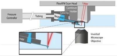Schematic of AFM with FluidFM®. A hollow cantilever featuring an opening at its free end is filled with liquid from a reservoir. By applying a positive or negative pressure liquid can be secreted out of or aspired into the cantilever to locally manipulate a sample. The AFM handles accurate force control, and the complete system is integrated on an inverted, optical microscope to provide optical access to the sample.