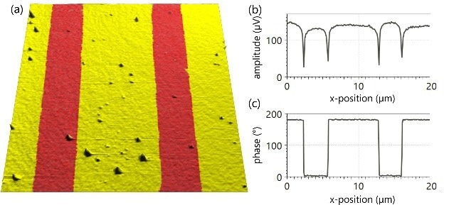 Vertical PFM images of periodically poled lithium niobate. (a) Representative topography with phase information color overlaid for a 20x20 µm2 area showing, (b) horizontal profile of the amplitude and (c) phase, showing little influence of amplitude with polarity and the 180° phase shift as expected.