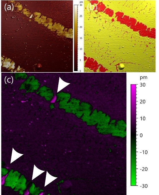 Vertical PFM imaging of 2D ferroelectric CuInP2S6 on Silicon substrate. (a) amplitude (b) phase and (c) amplitude projection, all represented as a color overlay on the topography. Image size: 5x5 µm2 (color scales do not include illumination effects from the topography visualization).