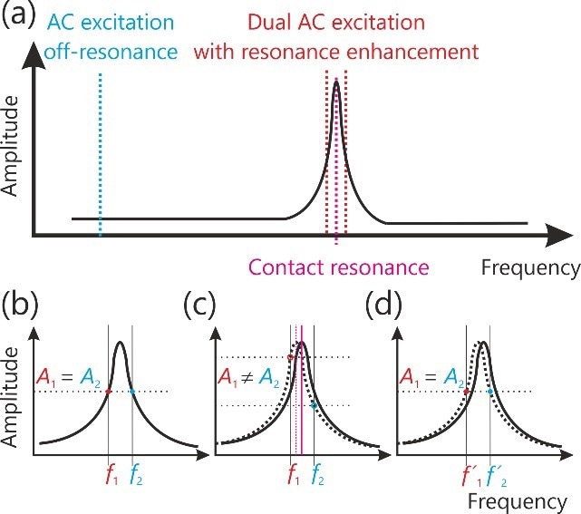 Schematics showing (a) traditional PFM measurement in off resonance mode and dual frequency resonance enhanced PFM mode. (b-d) DFRT amplitude response upon a change in contact resonance frequency.