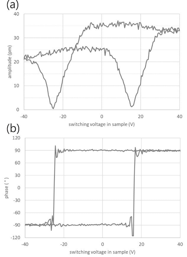 Piezo response hysteresis loop of P(VDF-TrFE) thin film (a) amplitude vs applied voltage and (b) phase vs applied volt-age obtained by SS-PFM. Sample courtesy: Joanneum Research Forschungsgesellschaft mbH, Austria.