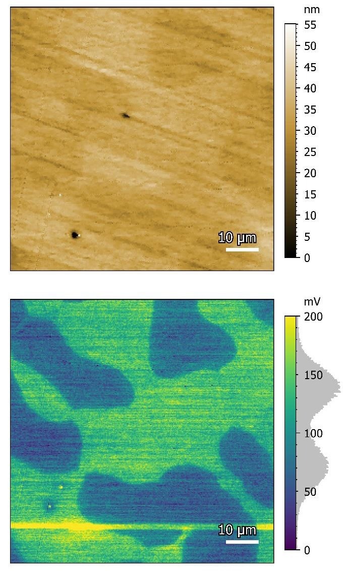 Stainless Steel. The top image is an 80 x 80 µm topography image while bottom image shows the KPFM signal collected simultaneously.