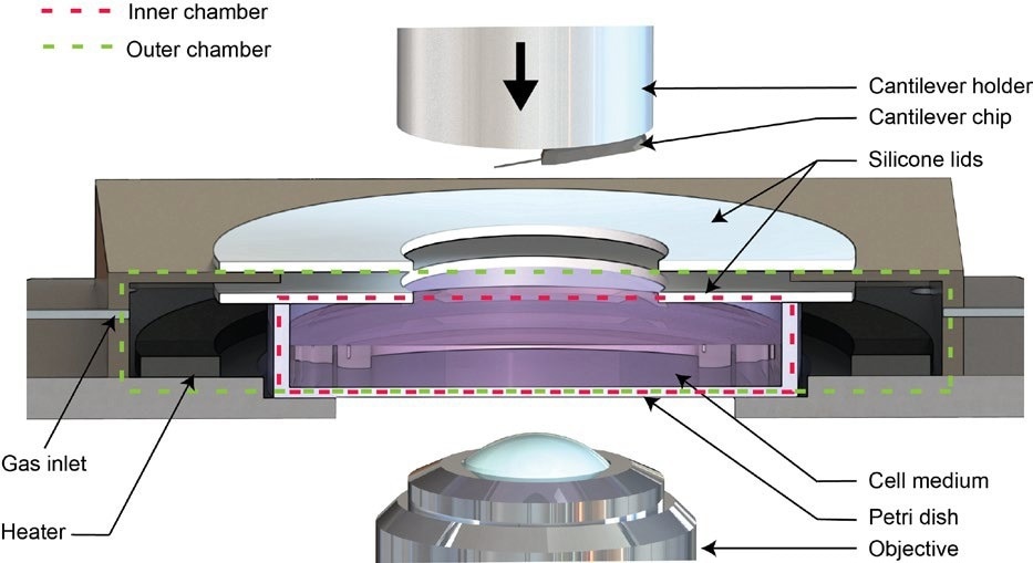 Schematic of the Live Cell Incubator.