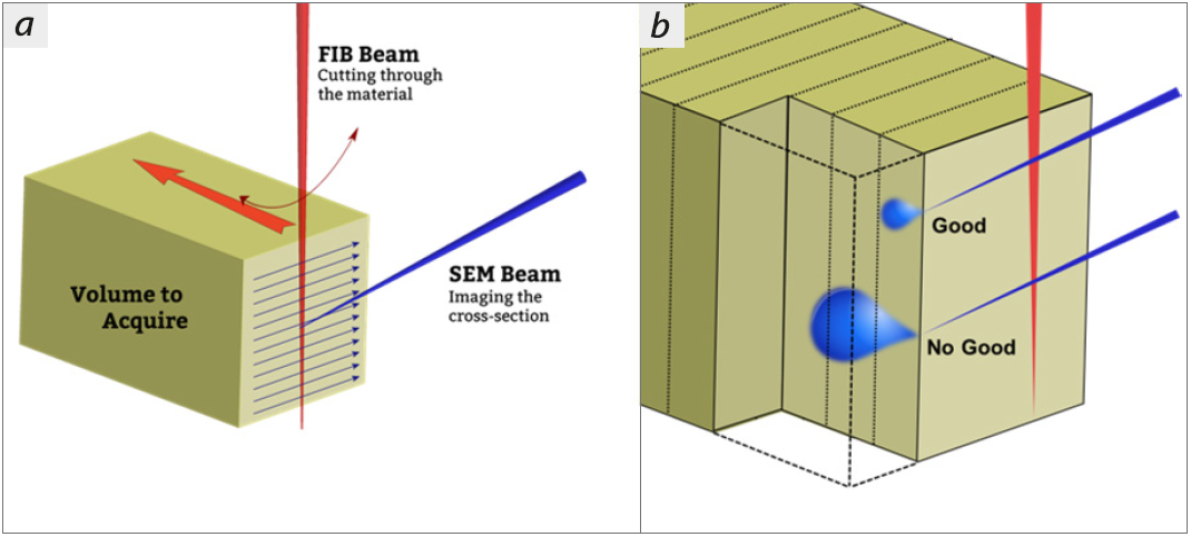 (a) Schematic of a sample during FIB-SEM tomography. (b) Illustration showing the VOI and volume probed by the SEM. The dotted lines correspond to the location of the different sections of the tomogram.