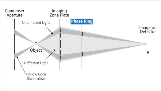 The X-ray beam path of ZEISS Xradia Ultra 810. A phase ring is inserted between the Fresnel zone plate objective and the detector for unique Zernike phase-contrast in a laboratory setup.