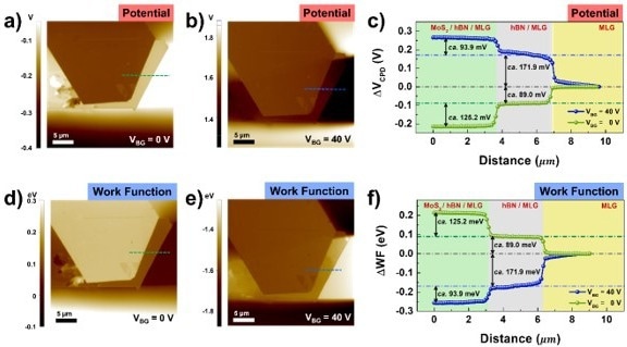 KPFM images of multilayer vdW heterostructure (MoS2/hBN/MLG): a, b) surface potential and d, e) work function in the case of VBG = 0 V (a, d), or VBG = 40 V (b, e). Line scan profiles of potential (c), and work function (f), which are indicated in a, b), and d, e) respectively. The scale bars in a, b, d, e) are 5 µm