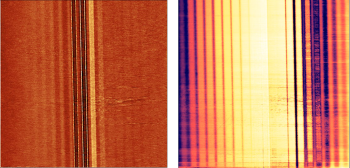 Topography (left) and an SSRM image (right) of a dopant density calibration sample. SSRM image shows different conductivities for regions with different dopant densities. Range of dopant densities: 4x1015 – 1020 cm-3. Image size: 50 x 50 µm2, current range: 15 µA.