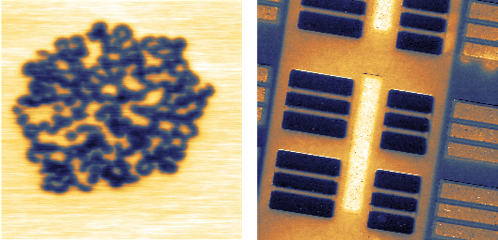 KPFM images of a self-assembly of semi-fluorinated alkane molecules F(CF2)14(CH2)20H (F14H20) on mica (left) and an SRAM sample showing regions with different carrier doping (right). Both images were recorded by single pass AM KPFM on 2nd eigenmode. Image sizes: 2 x 2 µm2 (left) and 40 x 40 um2 (right).