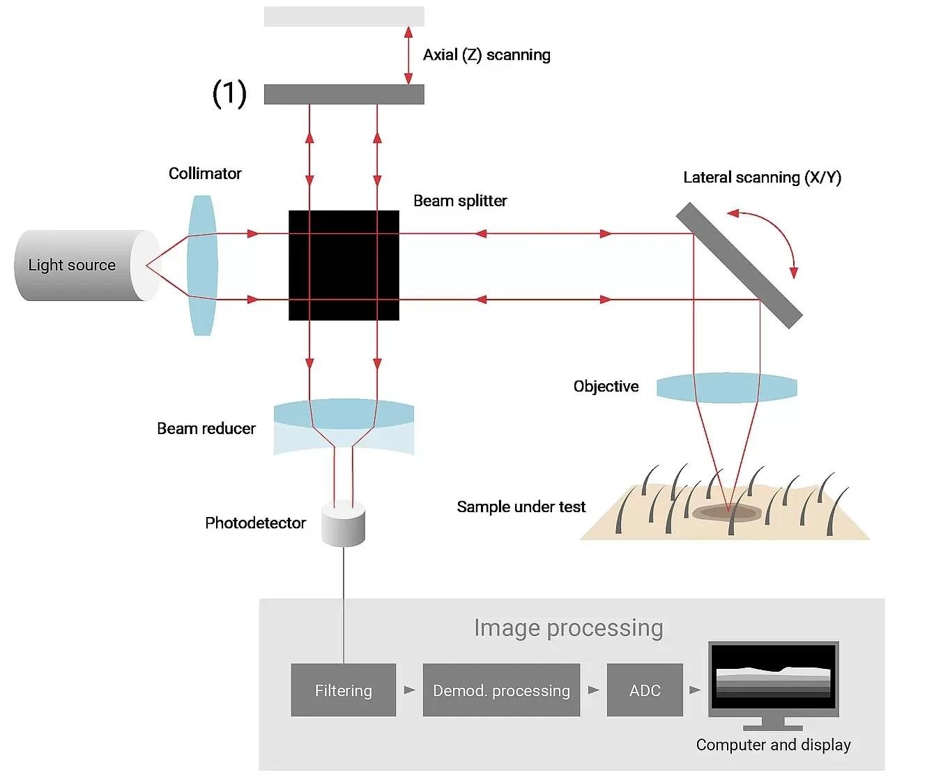 Basic principle of an Optical Coherence Tomography / interferometer setup