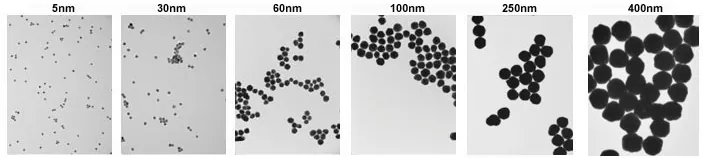 TEM images of 5 nm (left) and 400 nm (right) gold nanoparticles with <8% CV.